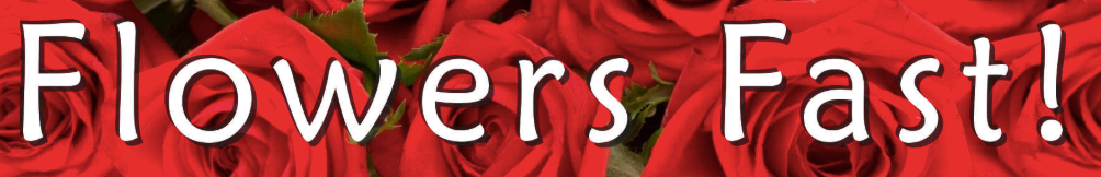 Flowers Fast Logo