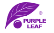 Purple Leaf Logo