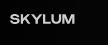 Skylum Logo