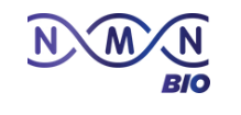 NMN Bio Logo