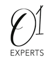 O1 Experts Logo