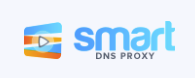 Smart DNS Proxy Logo