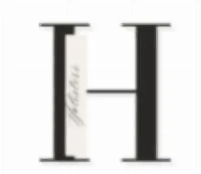 The Holister Store Image